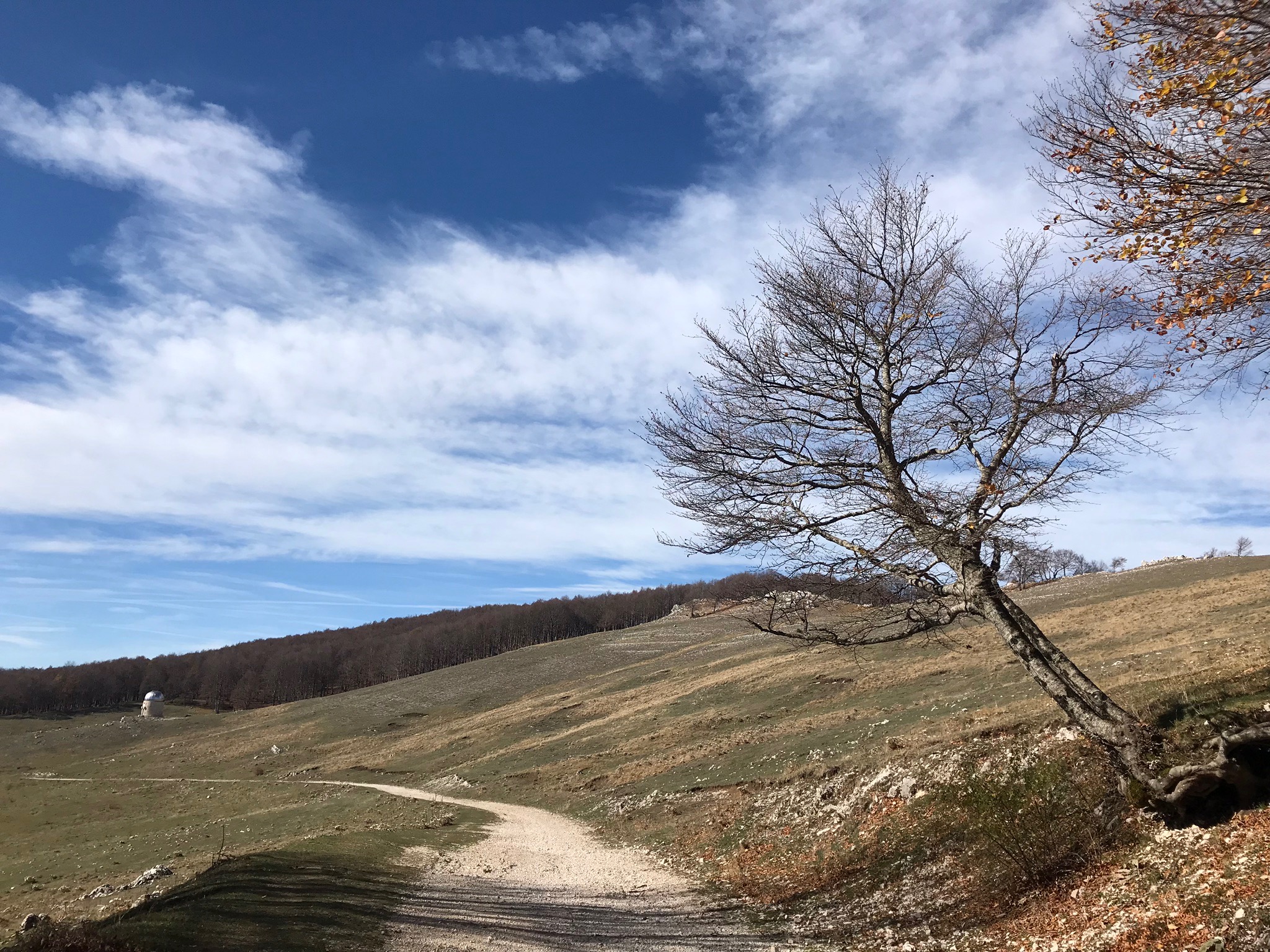 trekking_copertina.jpg
